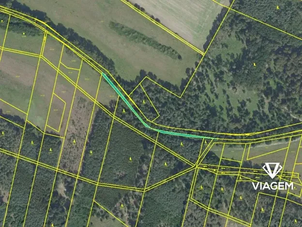 Prodej podílu lesa, Sokoleč, 1999 m2