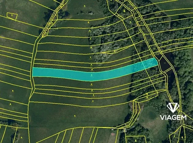 Prodej pole, Částkov, 5938 m2