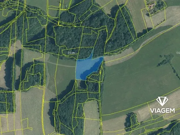 Prodej podílu pole, Tichá, 3099 m2