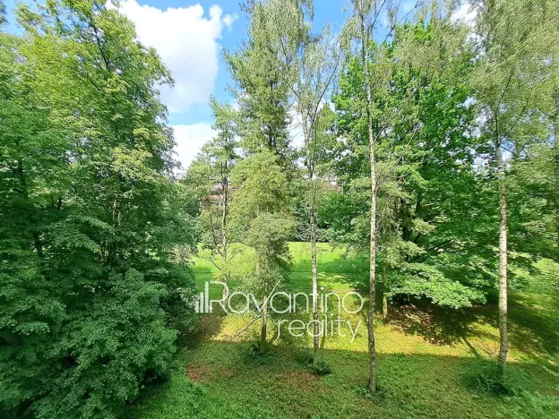 Prodej bytu 2+1, Brno, Arbesova, 54 m2