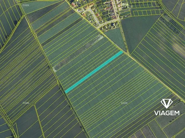 Prodej pole, Nový Poddvorov, 4528 m2