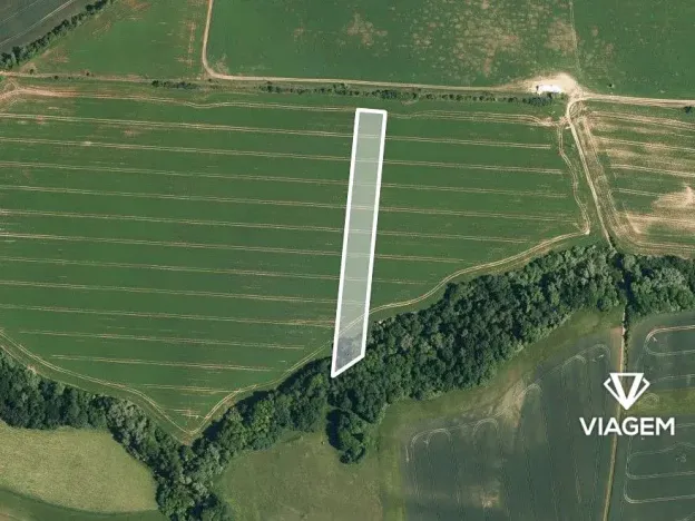Prodej podílu pole, Osvětimany, 3431 m2