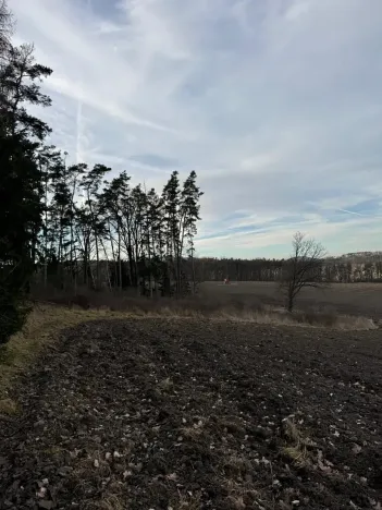 Prodej lesa, Klatovy, 8497 m2