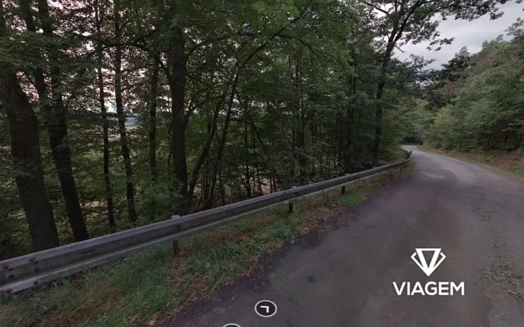 Prodej lesa, Milenov, 820 m2