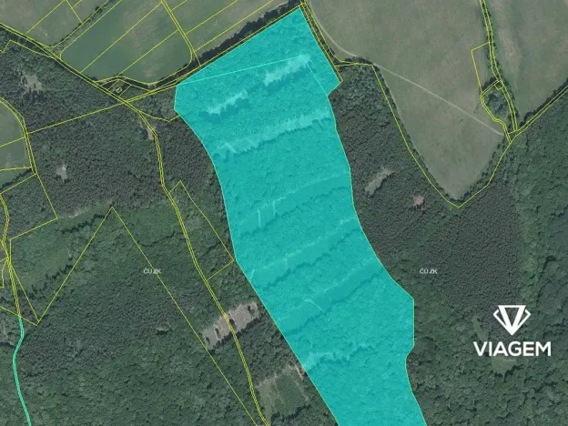 Prodej podílu lesa, Bánov, 76973 m2