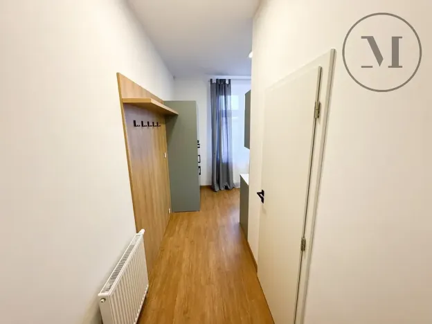 Pronájem bytu 1+kk, České Budějovice, Družstevní, 30 m2