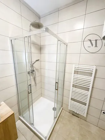 Pronájem bytu 1+kk, České Budějovice, Družstevní, 30 m2