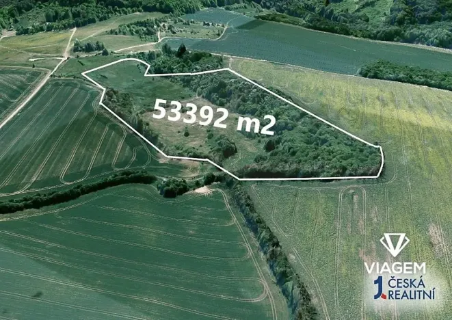 Prodej podílu louky, Koryčany, 11759 m2