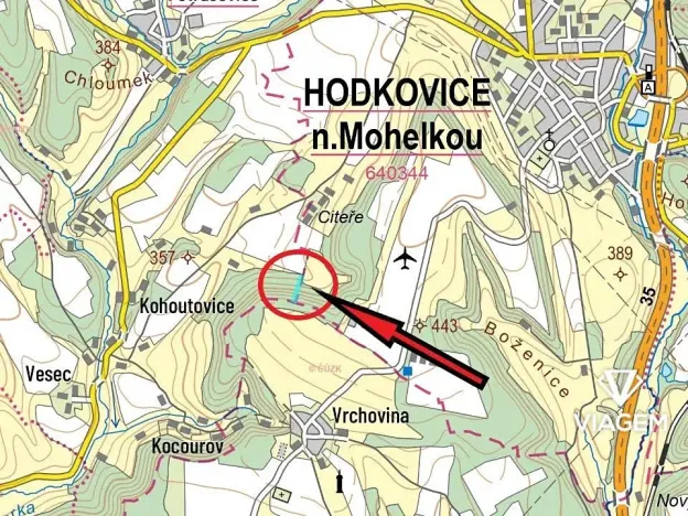 Prodej podílu lesa, Bílá, 1141 m2