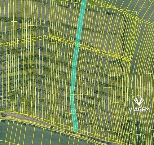 Prodej pole, Morkůvky, 4651 m2
