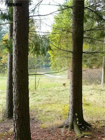 Prodej pozemku pro bydlení, Mariánské Lázně, Dobrovského, 1311 m2