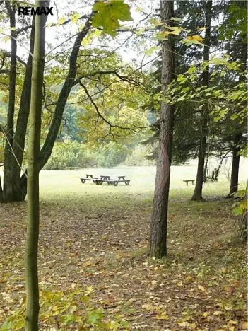 Prodej pozemku pro bydlení, Mariánské Lázně, Dobrovského, 1311 m2