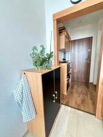 Pronájem bytu 1+1, Ostrava - Poruba, Vincence Makovského, 38 m2