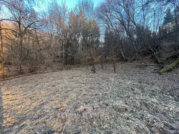 Prodej louky, Malé Kyšice, 3723 m2