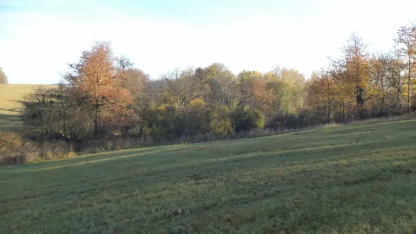 Prodej pozemku, Budišov nad Budišovkou, 60778 m2