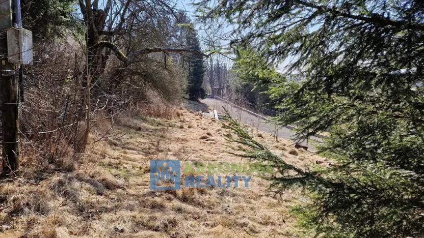 Prodej pozemku, Bernartice, 948 m2