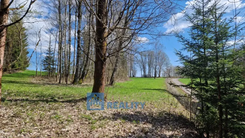 Prodej pozemku, Černý Důl - Čistá v Krkonoších, 2788 m2