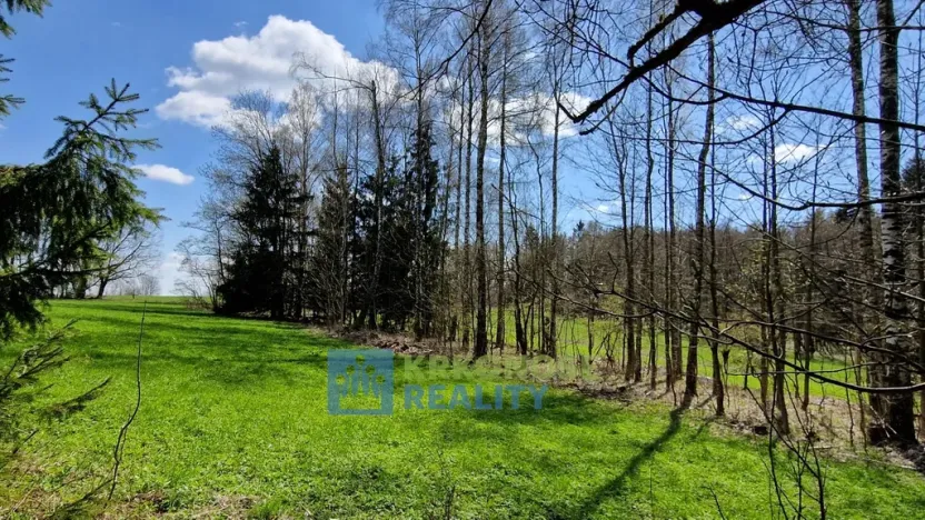 Prodej pozemku, Černý Důl - Čistá v Krkonoších, 2788 m2