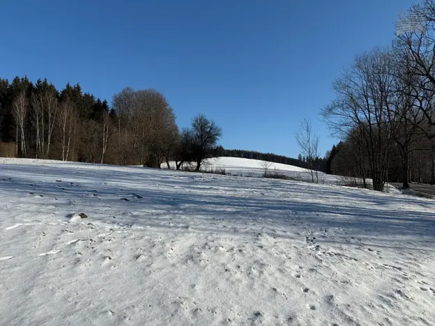 Prodej chalupy, Sněžné, 200 m2