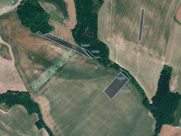 Prodej pole, Džbánice, 6896 m2