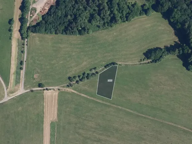 Prodej louky, Rovensko, 8009 m2