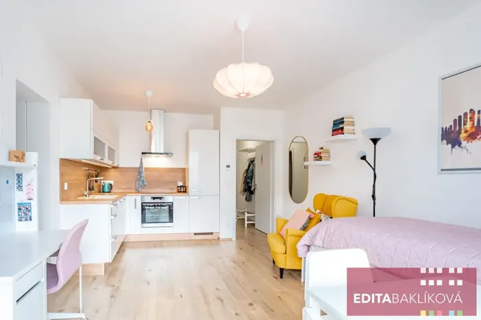 Pronájem bytu 1+kk, Olomouc, Eduarda Hamburgera, 33 m2