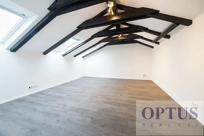 Pronájem bytu 6+kk a větší, Praha - Staré Město, Dušní, 218 m2