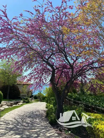 Prodej bytu 1+kk, Nesebar, Bulharsko, 33 m2