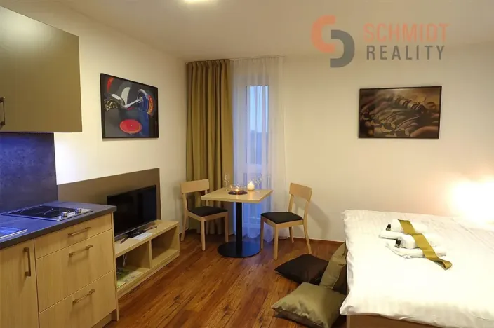 Pronájem bytu 1+kk, Lednice, 25 m2