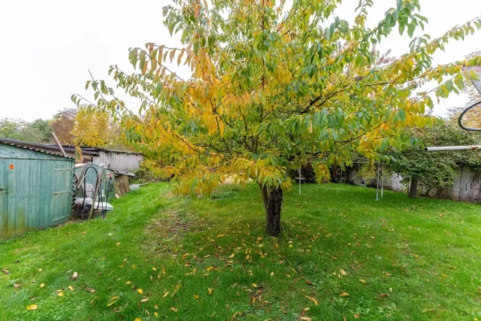 Prodej pozemku pro bydlení, Velká Kraš, 1290 m2