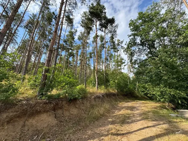 Prodej chaty, Borotice, 49 m2