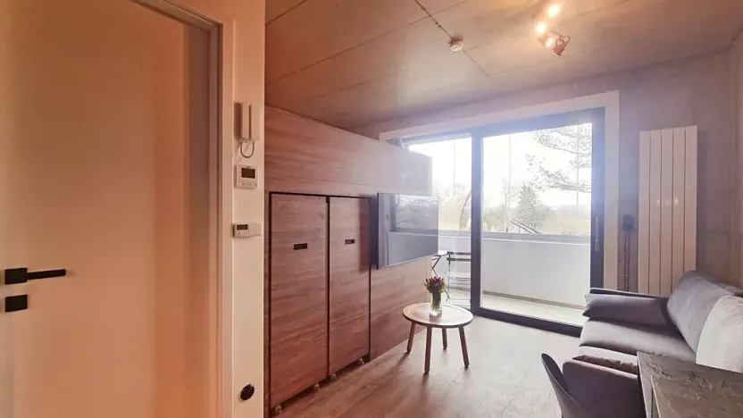 Pronájem bytu 1+kk, Brno, V rejích, 20 m2