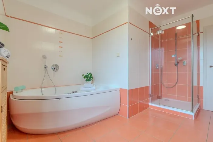 Prodej rodinného domu, Litvínovice, 154 m2