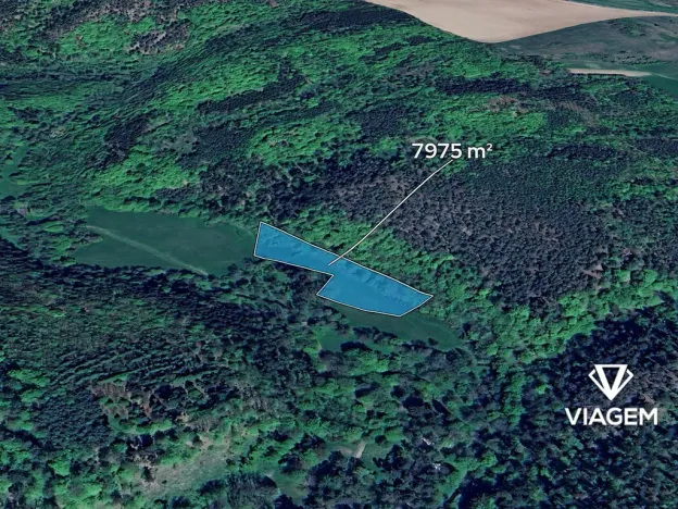 Prodej podílu pole, Chříč, 3987 m2