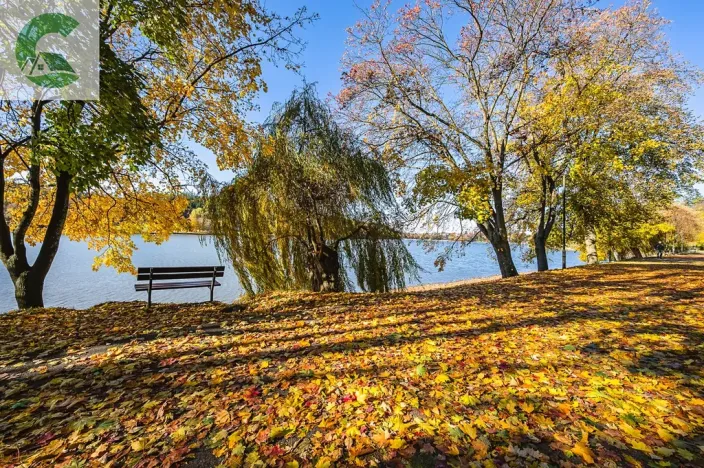 Prodej chaty, Jedovnice, 100 m2