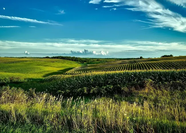 Prodej pole, Nosislav, 5643 m2