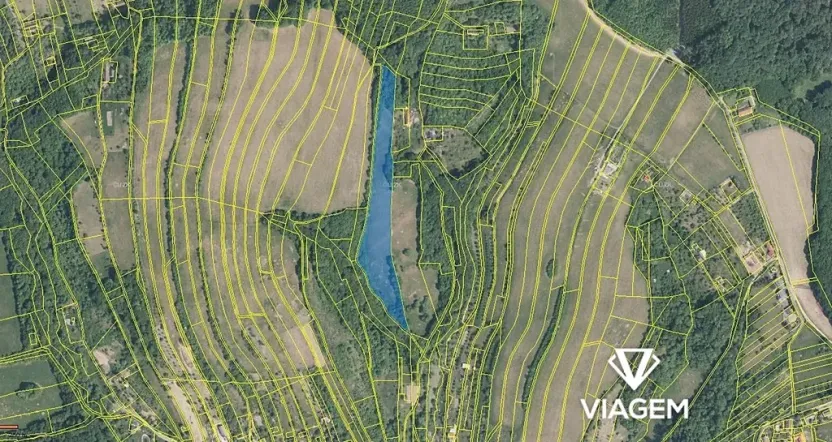 Prodej podílu pole, Košíky, 1691 m2