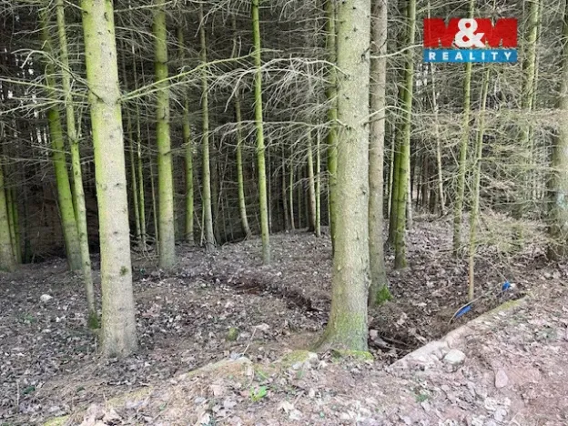 Prodej lesa, Košťálov - Kundratice, 4244 m2