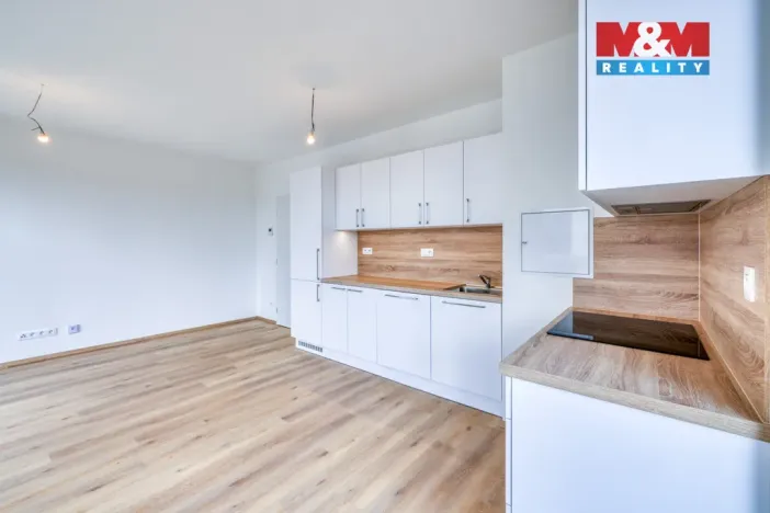 Pronájem bytu 2+kk, Dobřany, 53 m2