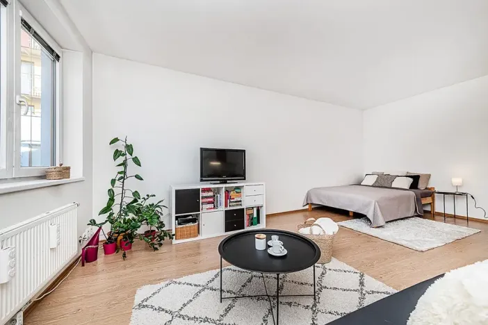 Prodej bytu 1+kk, Praha - Libeň, Březenská, 49 m2