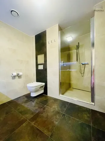 Pronájem kanceláře, Brno, Cihlářská, 38 m2