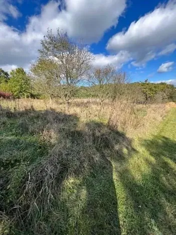 Prodej lesa, Březolupy, 628 m2