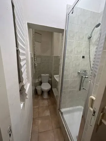 Pronájem bytu 1+1, Praha - Žižkov, Seifertova, 32 m2