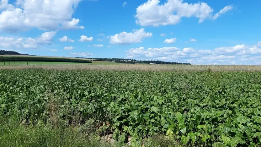 Prodej pozemku pro bydlení, Líšnice, 5077 m2