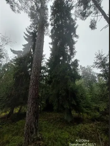 Prodej lesa, Otín, 829 m2