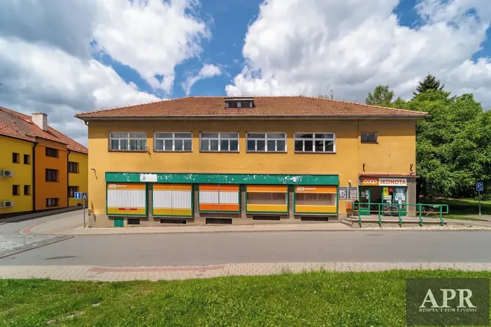 Pronájem obchodního prostoru, Topolná, 266 m2