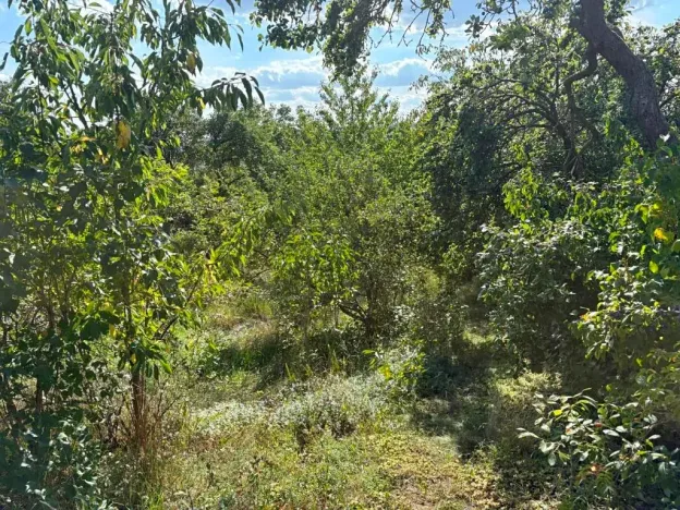 Prodej rodinného domu, Čebín, 250 m2