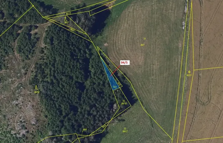 Dražba lesa, Žižkovo Pole, 119 m2