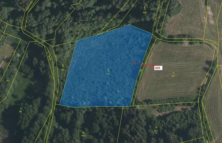 Dražba lesa, Strmilov, 7499 m2