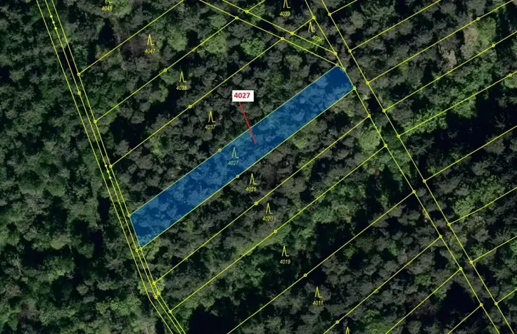 Dražba lesa, Pitín, 1282 m2